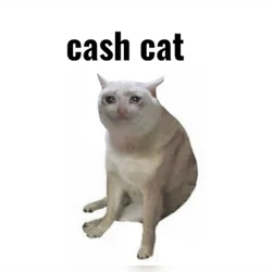 Cash Cat